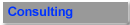 Consulting Services